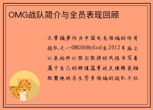 OMG战队简介与全员表现回顾