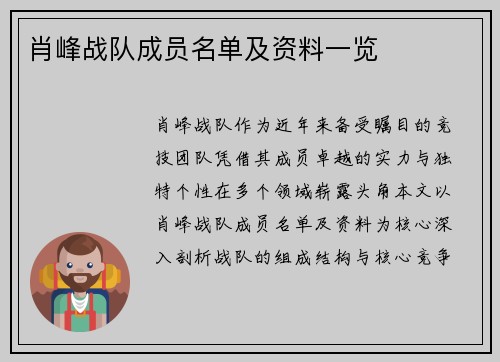 肖峰战队成员名单及资料一览